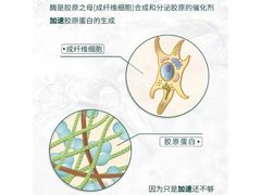 -中粮·祥云小镇