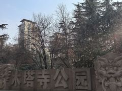 -木塔寺遗址生态公园