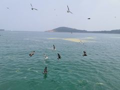 -海驴岛(荣成市)