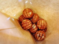 -莫朗核桃饼(虹泉路店)