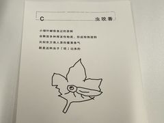-喜茶(北京财富购物中心店)