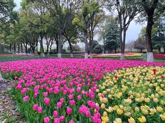 -上海鲜花港