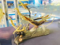 -上海海洋大学鱼文化博物馆(军工路校区)