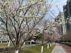 -保利国际影城杭州中南店