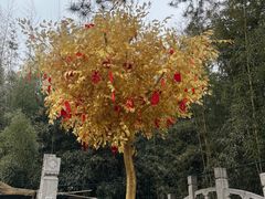 -红螺寺