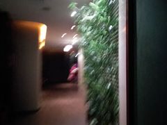 -东方棕泉·洗浴·按摩·美食国际水疗会所(福田店)