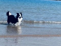 -青岛第三海水浴场