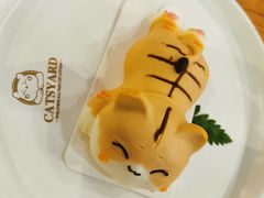-猫小院猫主题餐厅(三里屯店)