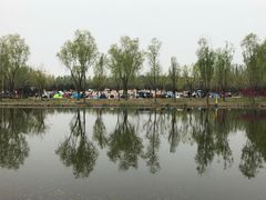 -东郊湿地公园