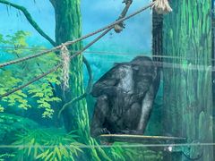 -宁波野生动物园