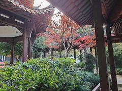 -杭州黄龙洞
