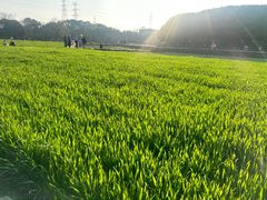 -八卦田遗址公园
