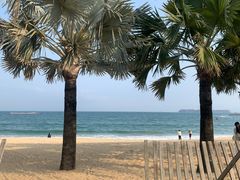 -大梅沙海滨公园