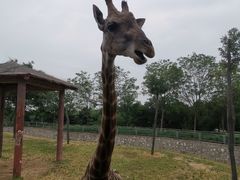 -石家庄市动物园