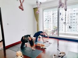 点击看大图 -Yvon yoga 瑜伽·精准体态管理中心