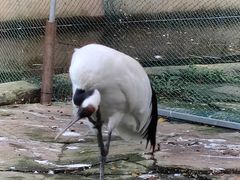 -南宁市动物园