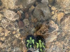 -罗田大别山峡谷漂流