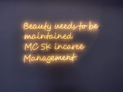 点击看大图 -MC皮肤管理中心