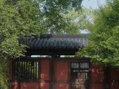 -广富林郊野公园