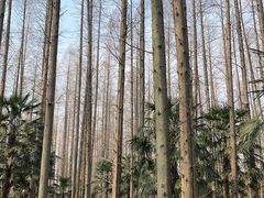 -上海怡沁园度假酒店
