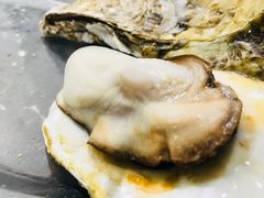 生蚝-蚝专家(北滘店)