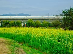 -光明小镇欢乐田园