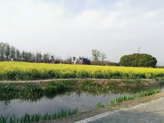 -田园东方蜜桃村的田野营地