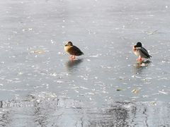 -后海公园