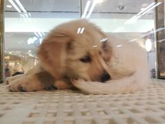 -乐宠宠物店(世纪金源店)