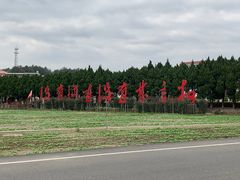 -毛泽东才溪乡调查旧址景区
