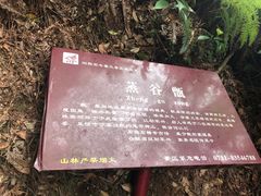 -浏阳石牛寨风景区