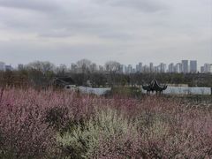 -苏州上方山国家森林公园