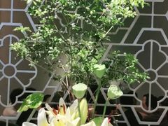 -山里亲戚(淞虹路店)