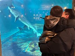 -华夏文旅西安度假区