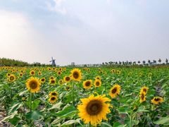 -双峰山国家森林公园-售票处