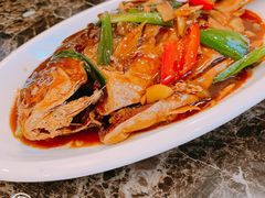 -冯姐生蚝(长隆横琴店)