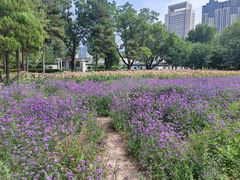 -阿尔丁植物园