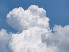 -白塘生态植物园