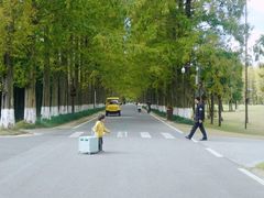 -黄海国家森林公园