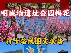-北京明城墙遗址公园