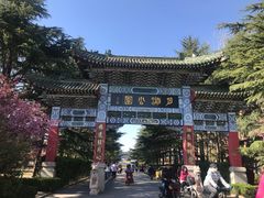 -莱西月湖公园