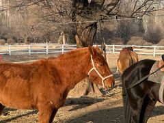 -赛汗塔拉风情园