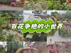 -南宁南湖公园