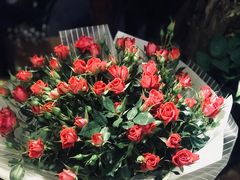 -鱼跃料理(步步高店)