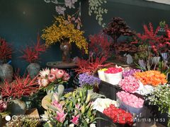 -重庆市江北嘴中央商务区中央公园