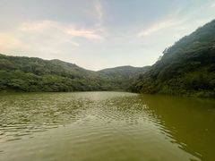 -黄埔油麻山森林公园