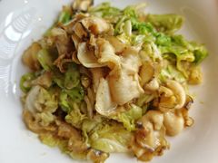 海螺炒大头菜-船歌·鱼水饺青岛菜(闽江二路店)