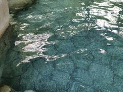 -水底山庄园温泉