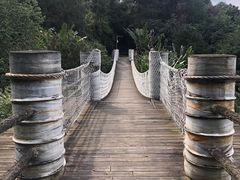 -铁山坪森林公园