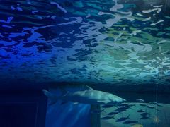 -常州海昌海洋探索馆